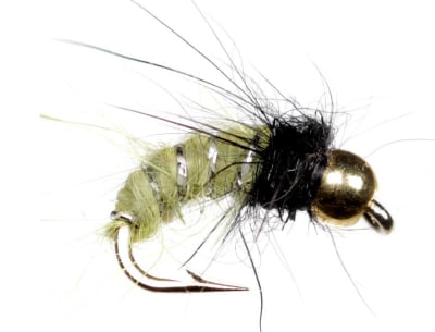 Caddis Larva Olive Tungsten1
