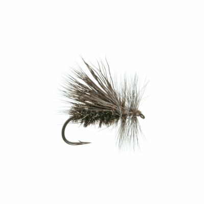 Dry Caddis Elkwing Caddis Peacock2