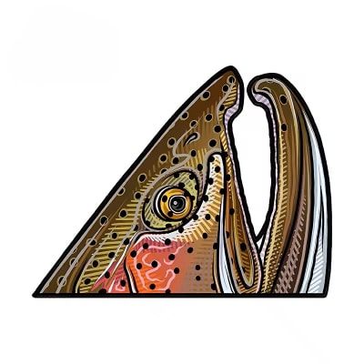 Calcomania cabeza se trucha 13 cm. Fario1