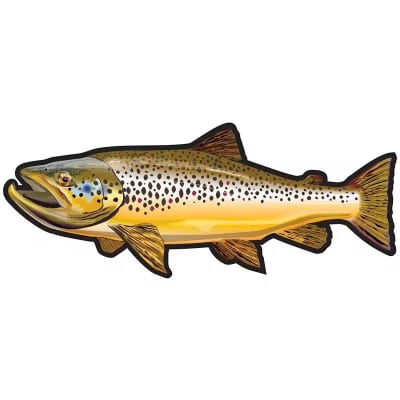 Calcomania trucha de 20 cm. Fario1