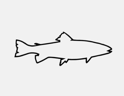 Calcomanía de trucha y pesca para auto Trucha B&N2