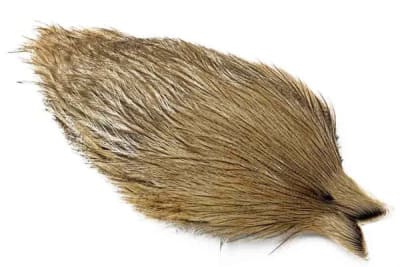 Coq de Leon Cape Light Pardo3