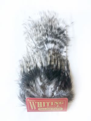 Coq de León, Tailing Pack Grizzly Pardo1