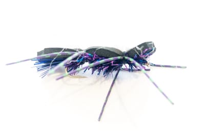 Terrestrial Ant Chernobyl Negra Peluda Blanca1