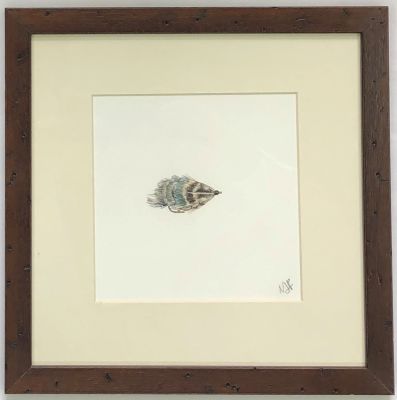 Acuarela original de María Jesús Pinto, Mosca Gray Ghost 28x28 cm.1