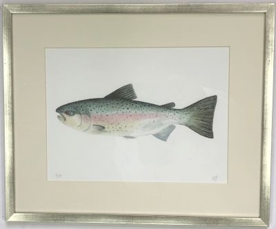 Acuarela Reproducción seriada 20 copias, de María Jesús Pinto, Rainbow Trout 38x46 cm.2