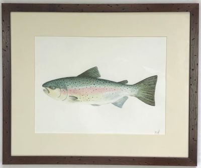Acuarela Original Rainbow Trout de María Jesús Pinto 38x46 cm1