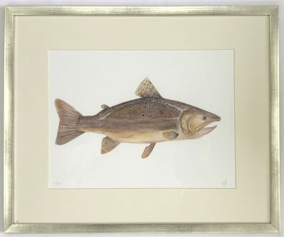 Acuarela Reproducción seriada 20 copias de María Jesús Pinto, Brown Trout 38x46 cm.1