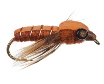 Dragon Fly Nymph Brown Beadhead1