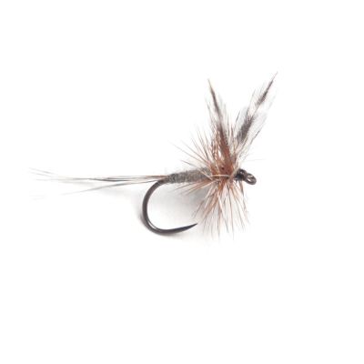 Dry Adams1