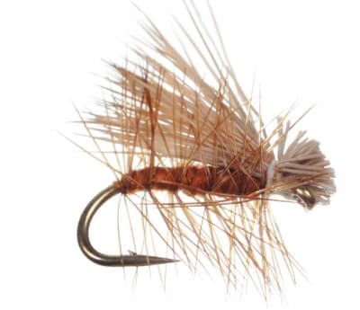 Elkhair Caddis Brown1