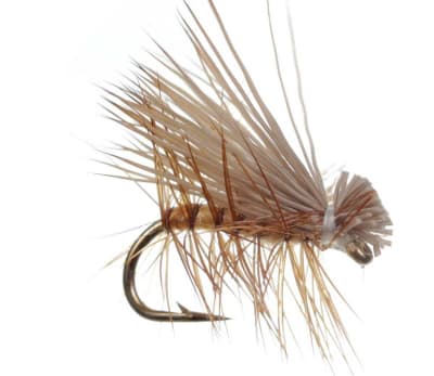 Elkhair Caddis Tan1