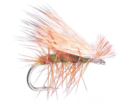 Dry Caddis Elkwing Caddis Olive2