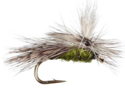 Caddis EZ Caddis Olive2