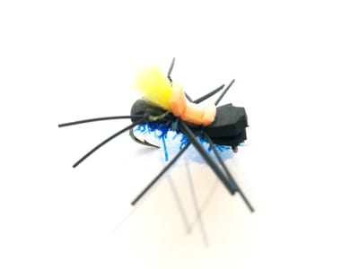 Fat Albert Negra/Naranja/Amarillo/Azul2