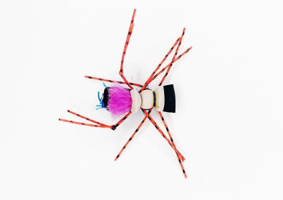 Fat Albert terestrial Café/Tan/Lila Guata Azul1