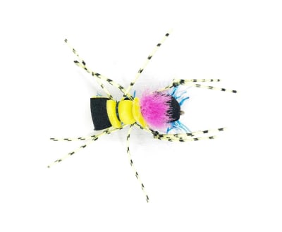 Fat Albert Café/Amarillo/blanco/azul/pata amarilla negra1