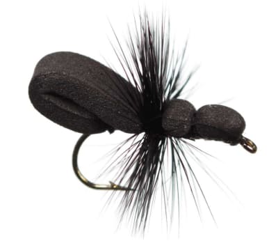 Foam Ant Black1