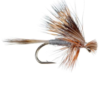 Dry Caddis Hairwing Dun Adams1