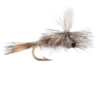 Parachute Hares Ear1