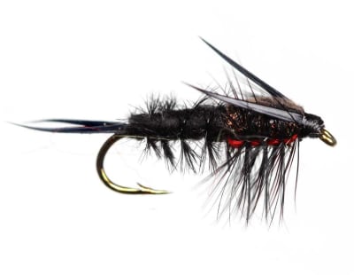 Nymph Helgrammite1