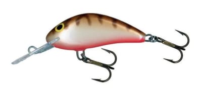 Señuelo  SALMO  Hornet  Sinking 040 CRW1