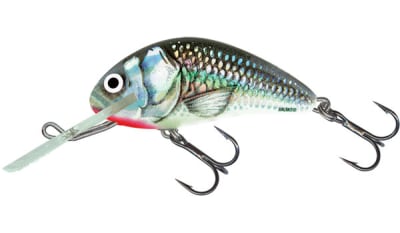 Señuelo  SALMO  Hornet 040 Sinking HGS1