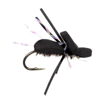 Dry Terrestrial UFO1