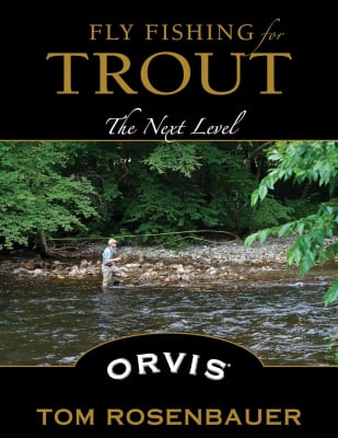 Fly Fishing for Trout, The Next Level1