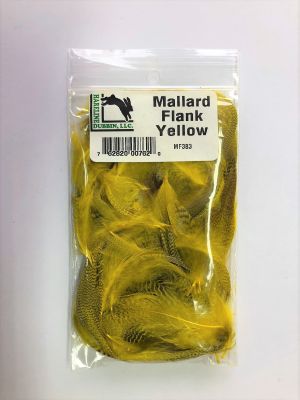 Mallard Flank, Yellow1