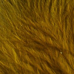 Marabou Olive1