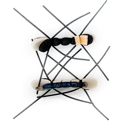 Chernobyl Ant  CC #6 Tan/negro/naranja1