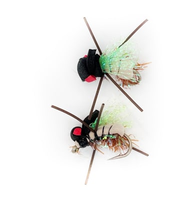 Killer Beetle Tan Black #41