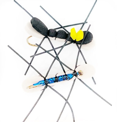 Chernobyl Ant CC #6 Tan/negro/amarillo1