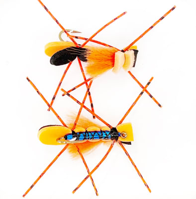 Chernobyl Ant CC #6 Naranjo/Negro/peludo1