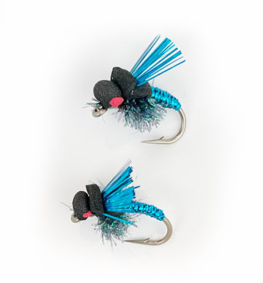 Killer Beetle Black #41