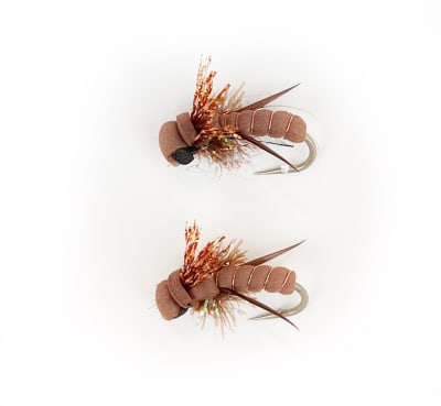 Killer Beetle Brown #41