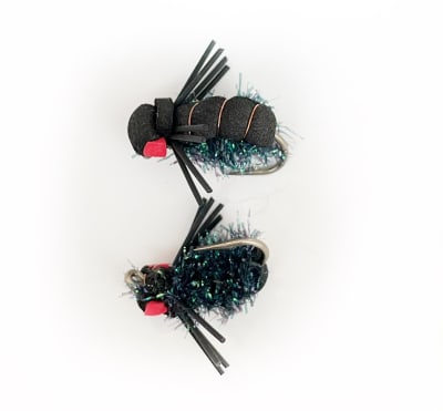 Tábano Negro Cobre1