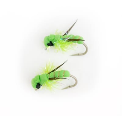 Killer Beetle Green #41