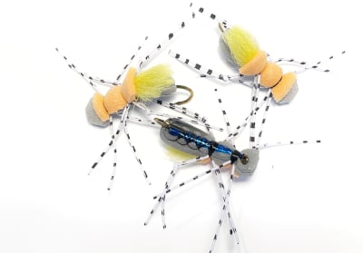 Fat Albert gris/Naranjo/amarillo, guata azul, patas blancas1