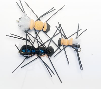 Fat Albert  Negro/Damasco/Blanco/Guata Azul/Pata negra1