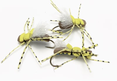 Fat Albert  Tan/Amarillo/Blanco/Guata Azul1