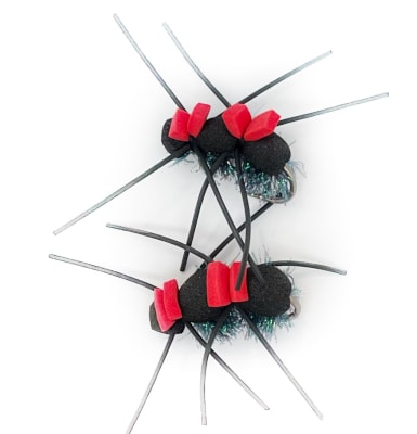 Female Foam Ant1