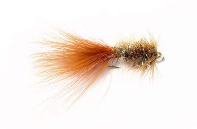 Woolly bugger PUELO Café1