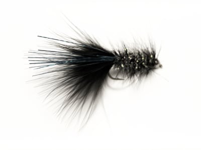 Woolly bugger PUELO1