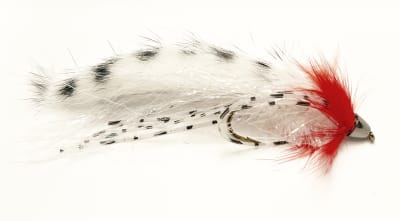 Zonker CC Blanco Rojo Grizzly1