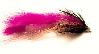 Zonker CC Fuccia Negro1