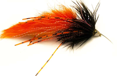 Zonker CC Naranjo Negro1