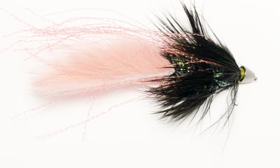 Zonker CC Rosado Negro1