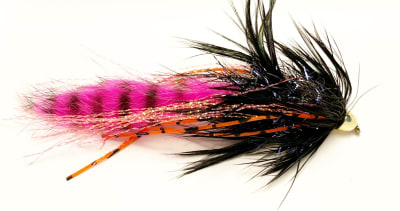 Zonker CC Fuccia Negro Grizzly1